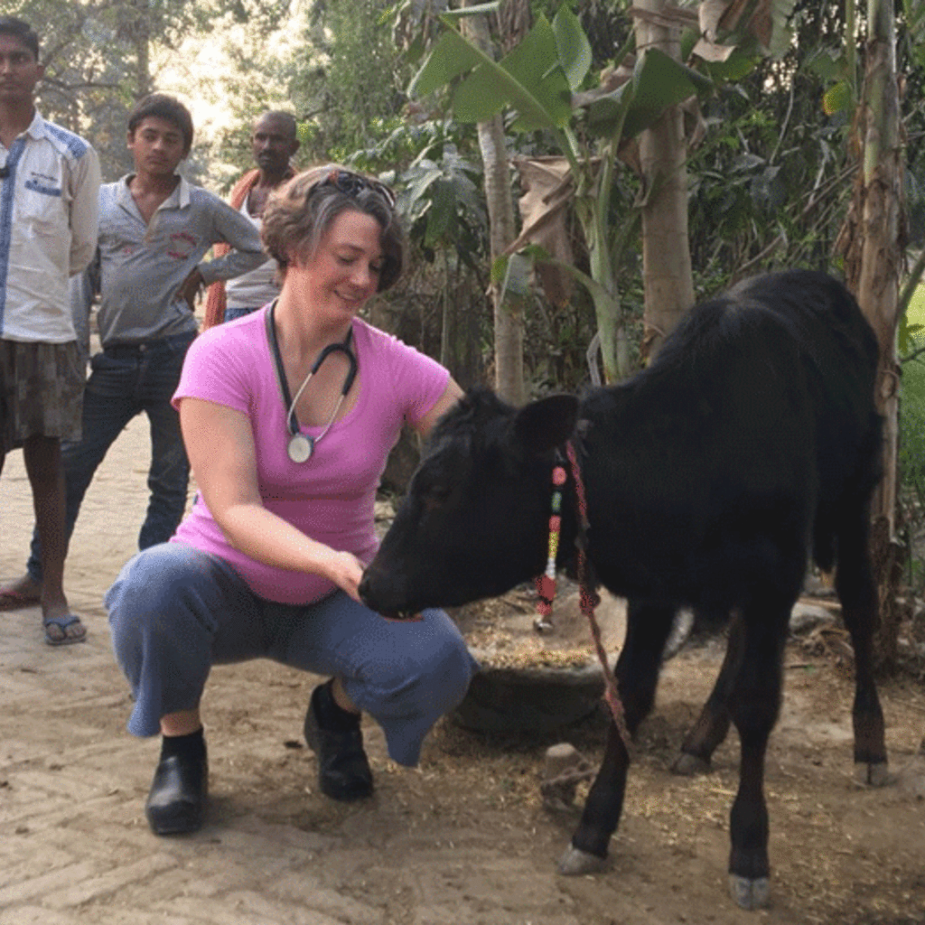 Christy Petersen in Bihar with village calf